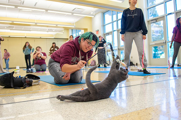 SIU Students during Saluki Cares Day Kitten Yoga